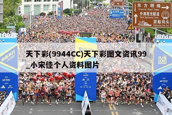 天下彩(9944CC)天下彩图文资讯99_小宋佳个人资料图片