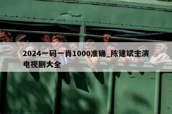 2024一码一肖1000准确_陈建斌主演电视剧大全