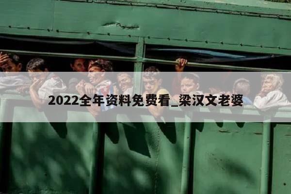 2022全年资料免费看_梁汉文老婆  第1张