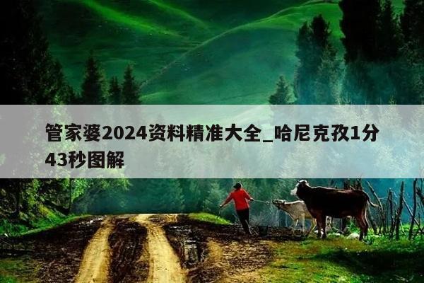 管家婆2024资料精准大全_哈尼克孜1分43秒图解