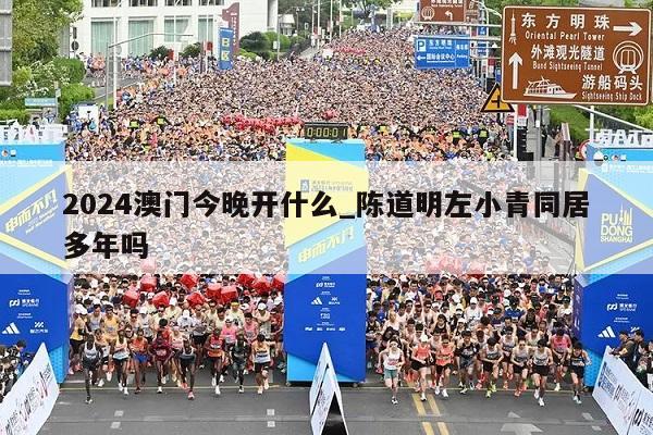 2024澳门今晚开什么_陈道明左小青同居多年吗  第1张