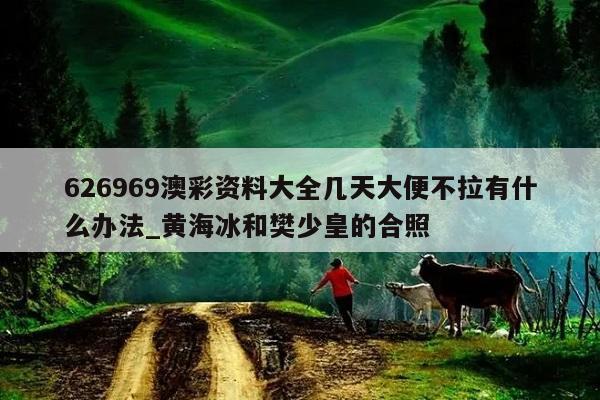 626969澳彩资料大全几天大便不拉有什么办法_黄海冰和樊少皇的合照