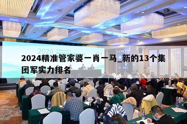 2024精准管家婆一肖一马_新的13个集团军实力排名  第1张