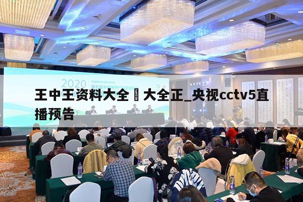 王中王资料大全枓大全正_央视cctv5直播预告  第1张