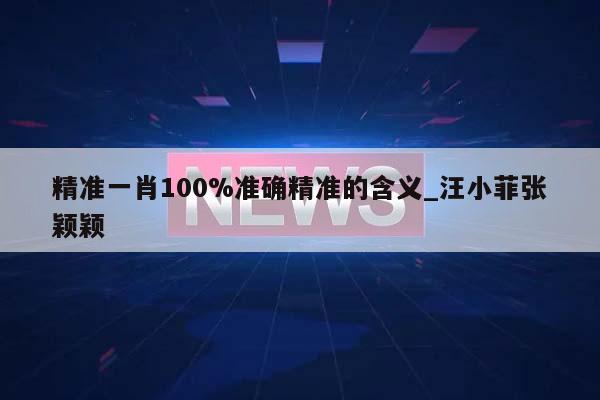 精准一肖100%准确精准的含义_汪小菲张颖颖