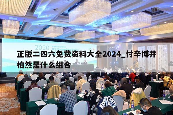 正版二四六免费资料大全2024_付辛博井柏然是什么组合  第1张