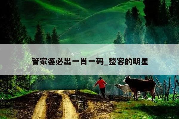 管家婆必出一肖一码_整容的明星