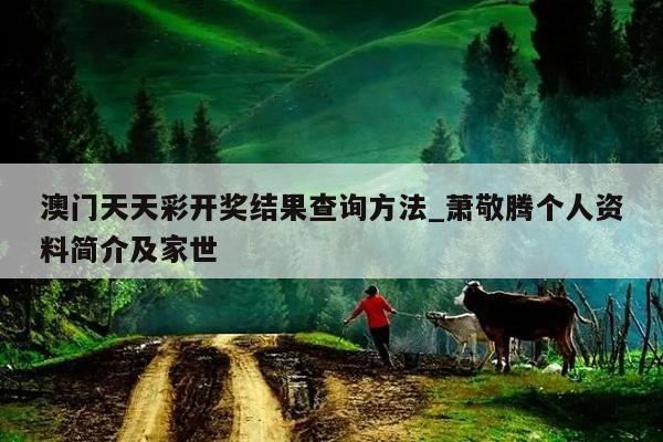 澳门天天彩开奖结果查询方法_萧敬腾个人资料简介及家世