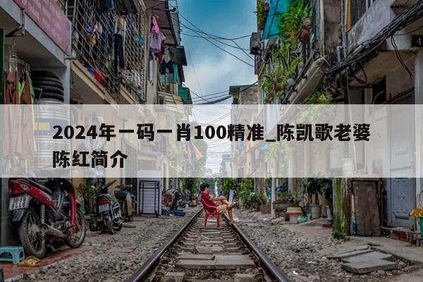 2024年一码一肖100精准_陈凯歌老婆陈红简介