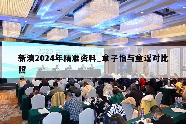 新澳2024年精准资料_章子怡与童谣对比照