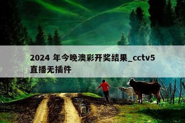 2024 年今晚澳彩开奖结果_cctv5直播无插件