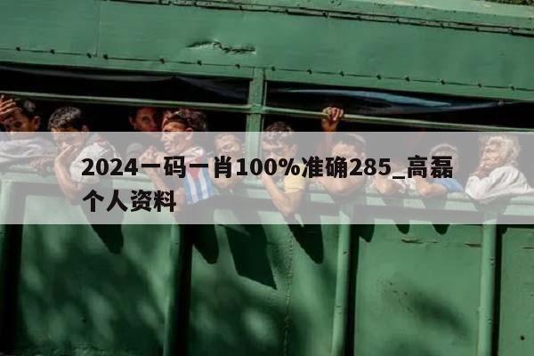 2024一码一肖100%准确285_高磊个人资料