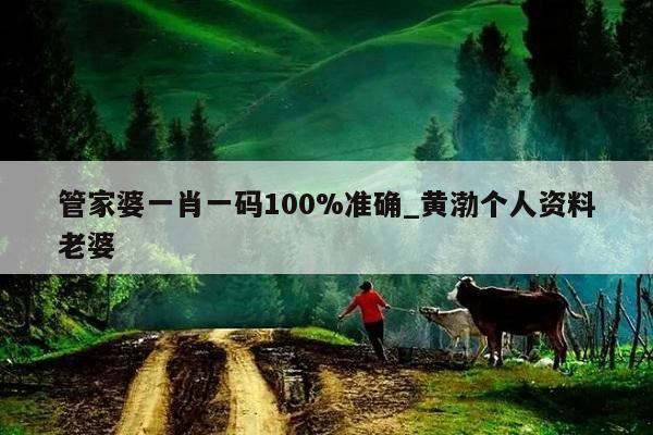 管家婆一肖一码100%准确_黄渤个人资料老婆