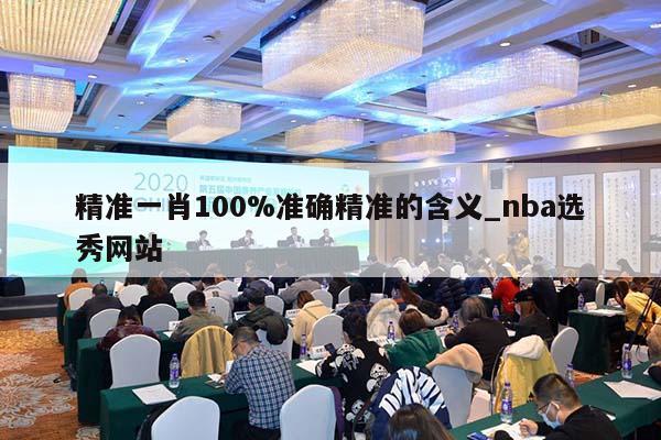 精准一肖100%准确精准的含义_nba选秀网站