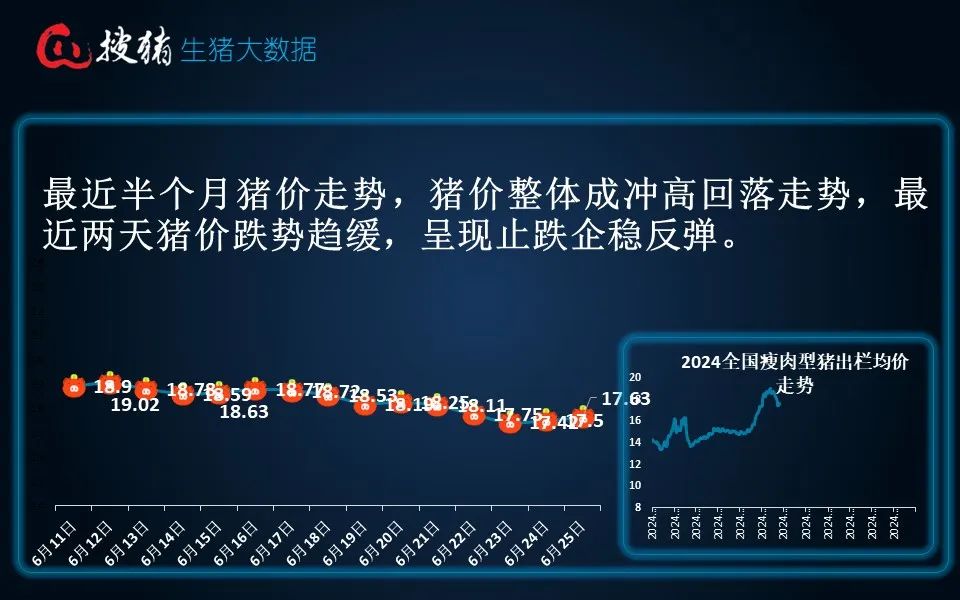 最准一肖一码100%精准的评论_生猪现货日报|全国均价18.25元/公斤 整体出栏节奏放缓 猪价延续小幅反弹  第7张