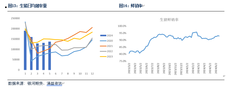 白小姐一肖一码今晚开奖_【生猪半年报】疫情影响有所放大 预期现实反复博弈  第7张