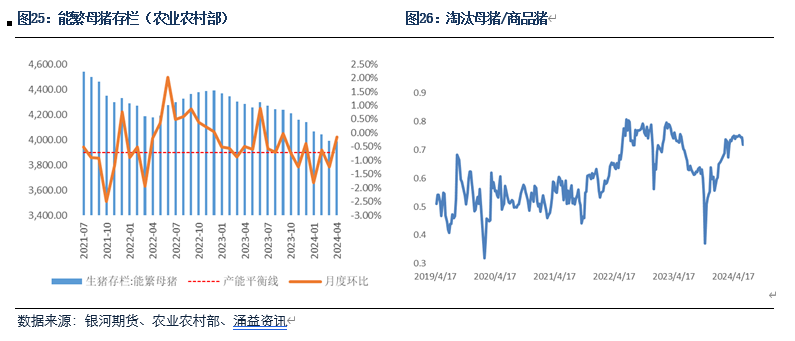 白小姐一肖一码今晚开奖_【生猪半年报】疫情影响有所放大 预期现实反复博弈  第12张