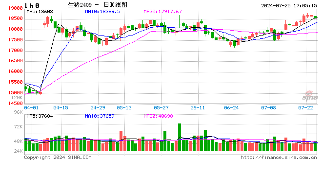 澳门六开彩开奖结果全年记录_每日猪讯7.25