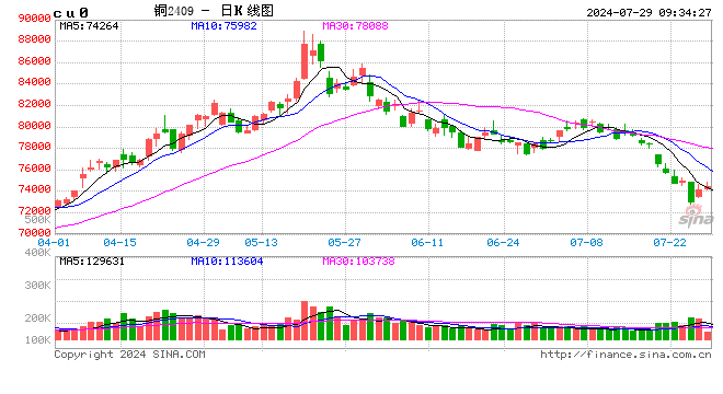 光大期货：7月29日有色金属日报  第2张