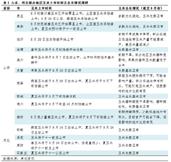 山东、河北地区玉米生长情况及上市时间调研  第3张