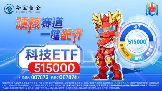 AI硬科技下挫，科技ETF（515000）收跌近1%，获千万资金逆行布局！科技成长或为反弹配置主要方向