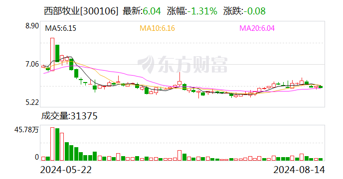 本港台六现场开奖结果_西部牧业：股东户数增加100户 户均持股6.31万元